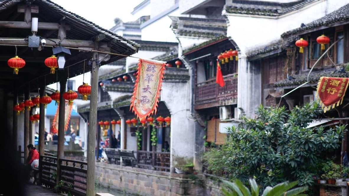 【两会·前瞻】晁忠琼代表：补短板 强优势 推动普安茶产业高质量发展